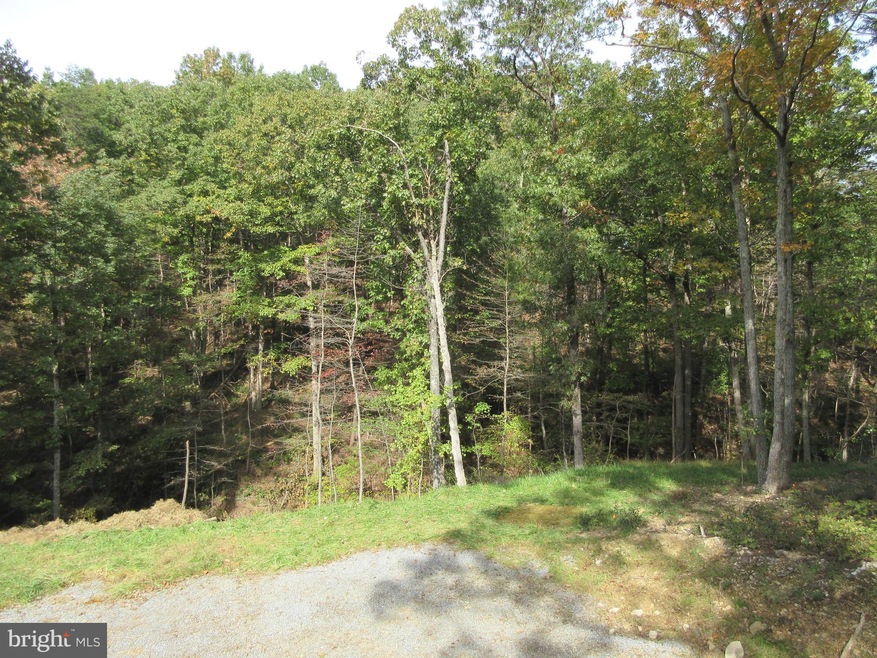 247 Spring Hollow Rd, Front Royal, VA 22630 - photo 1