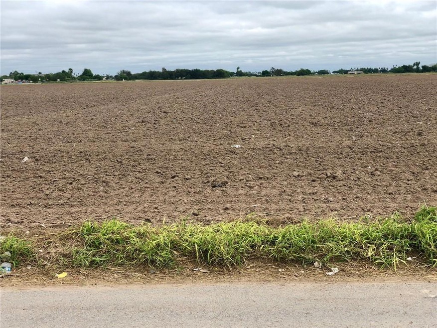 1.25M Whalen Rd, Donna, TX 78537 - photo 1