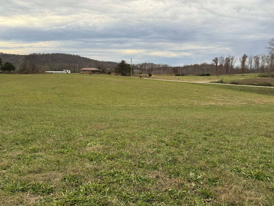 Tract #2 Ky Hwy 829, Albany, KY 42602 - photo 1