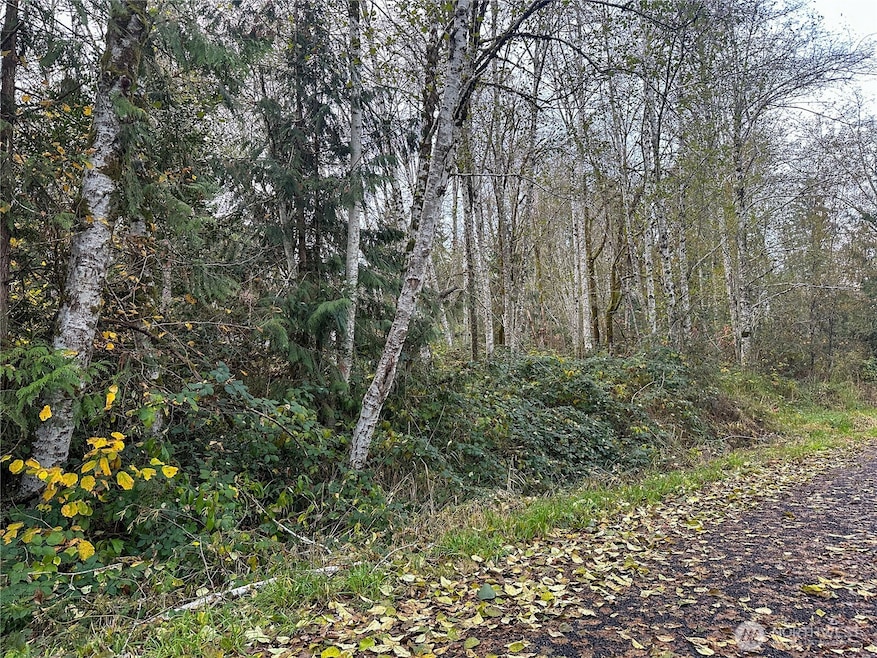 7609 Lakeside St SW, Olympia, WA 98512 - photo 1