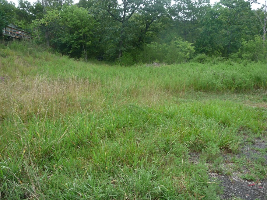 Tbd Ramona Ln, Ruth B Rural Township, MO 65686 - photo 1