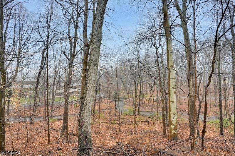 14 Bryce Way, Morris Plains, NJ 07950 - photo 1