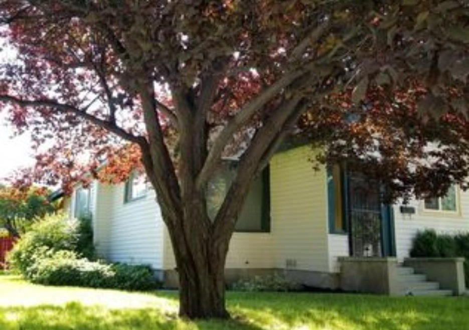 1401 Conant Ave, Burley, ID 83318 - photo 1