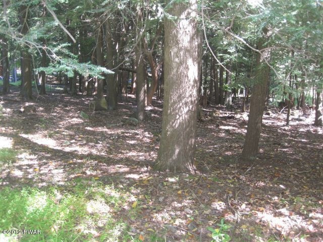 30 Red Hawk Dr, Paupack Township, PA 18436 - photo 1