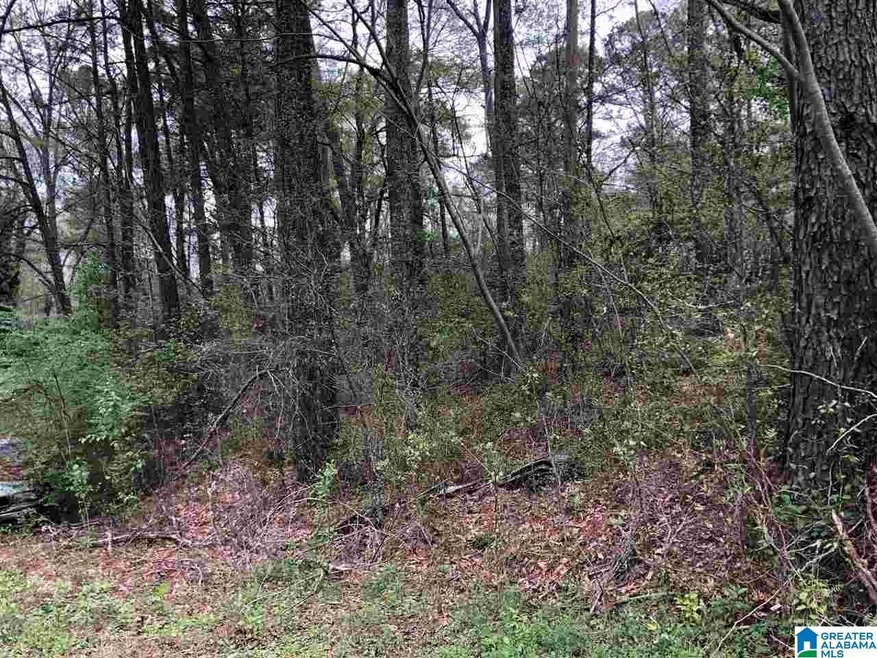 725 Carl Raines Lake Rd unit 1, Hoover, AL 35244 - photo 1