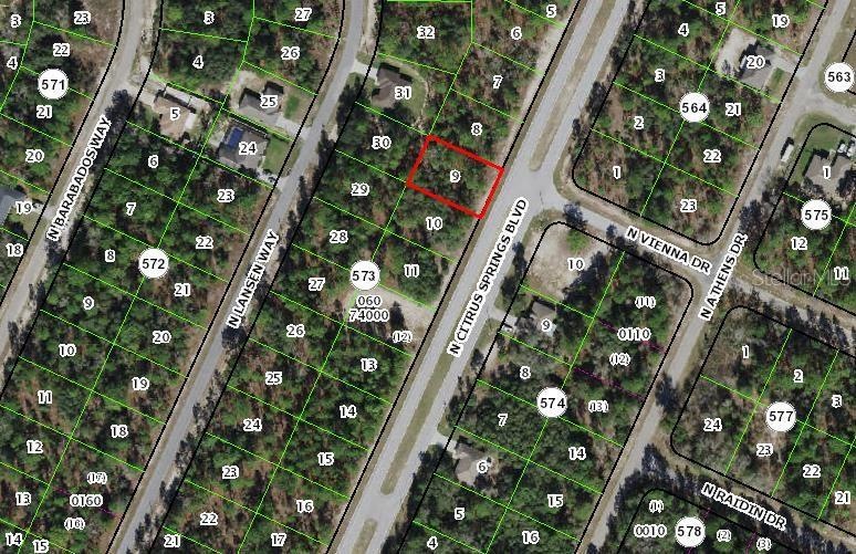 8928 N Citrus Springs Blvd, Dunnellon, FL 34433 - photo 1