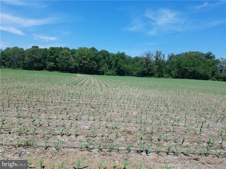 30155 Whites Neck Rd, Dagsboro, DE 19939 - photo 1