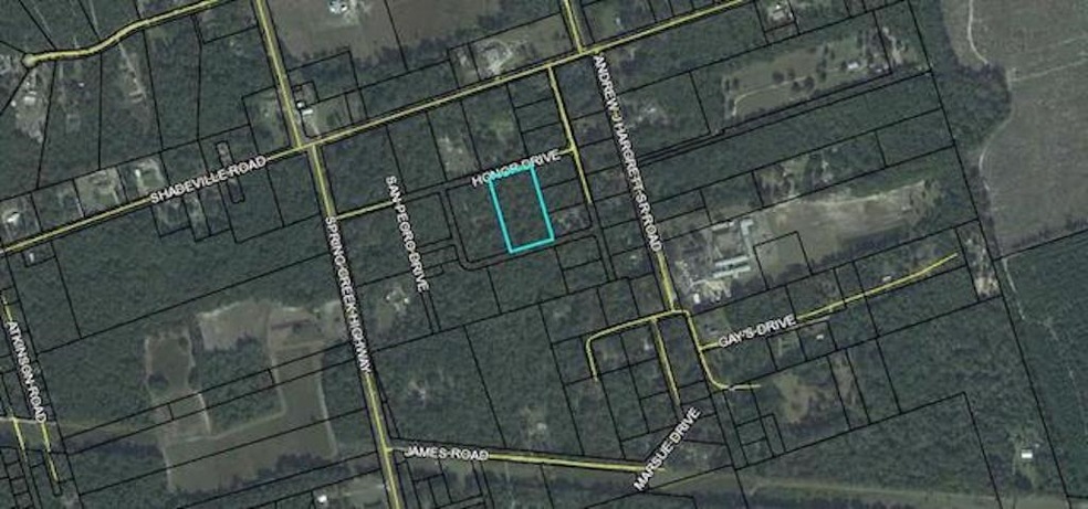 0 Honor Dr unit 315967, Crawfordville, FL 32327 - photo 1