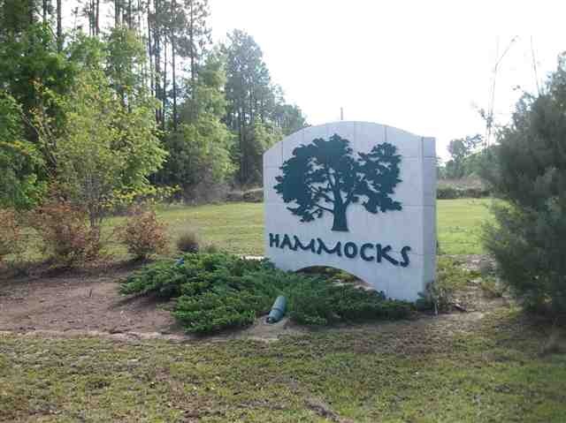 0 Hawthorn Pass unit 1 224484, Crawfordville, FL 32327 - photo 1