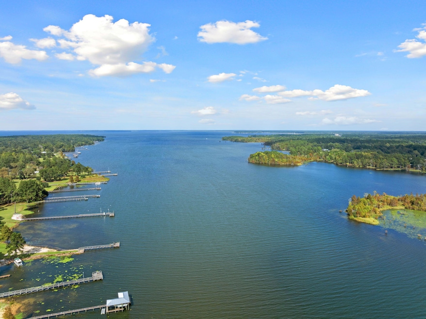 1554 Pinopolis Rd, Moncks Corner, SC 29461 - photo 1