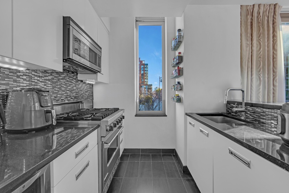 The View unit 211, Long Island City, NY 11109 - photo 1