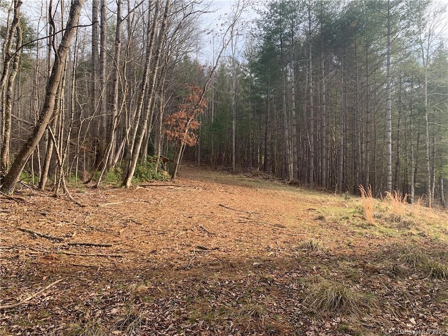 0 Doan Town Rd, Cane River, NC 28714 - photo 1