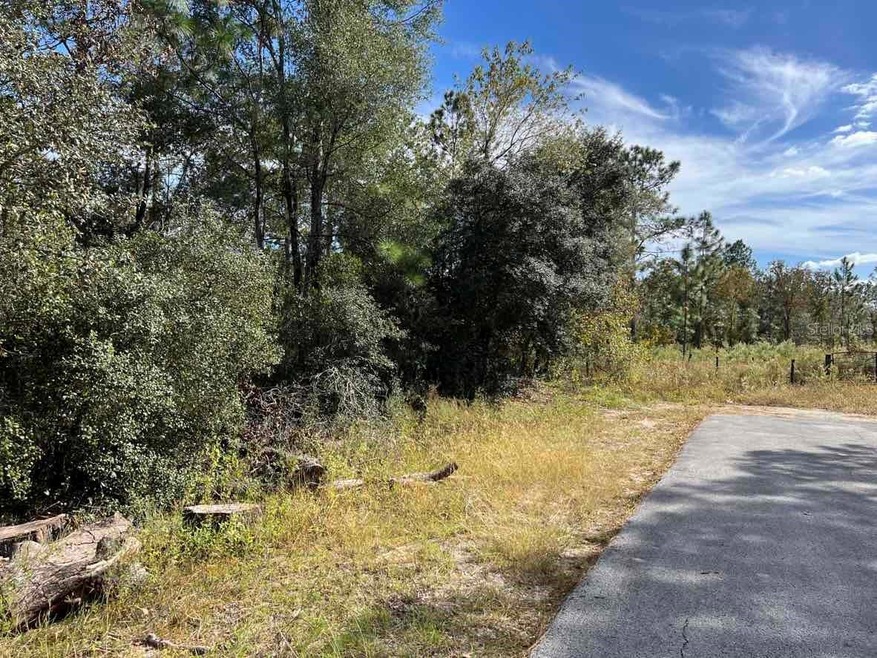 0 SW Azalea Ct unit MFRU8219363, Dunnellon, FL 34431 - photo 1