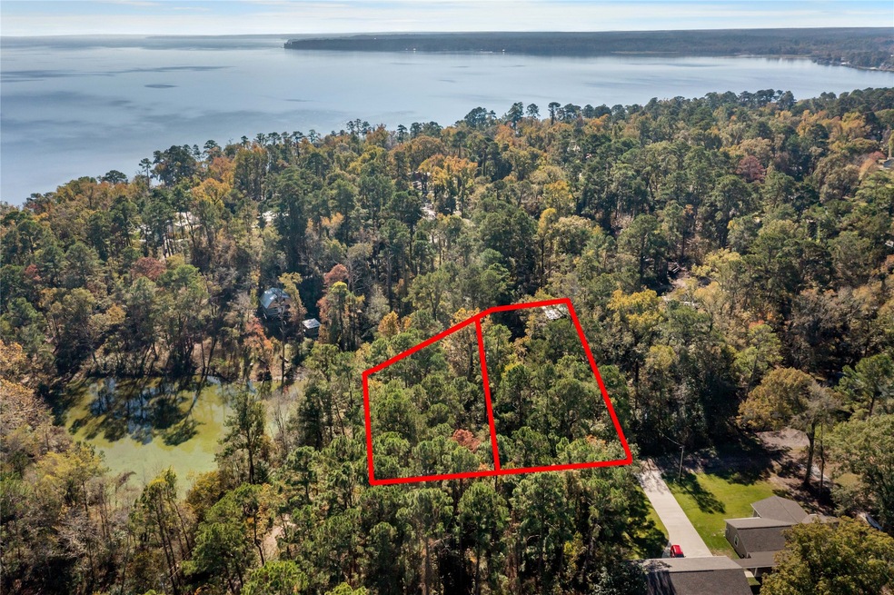 0 N Lakeview Dr unit 67956245, Point Blank, TX 77364 - photo 1