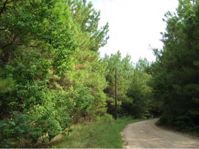 10.2 ac. Hidden Leaf Trail, Nacogdoches, TX 75964 - photo 1
