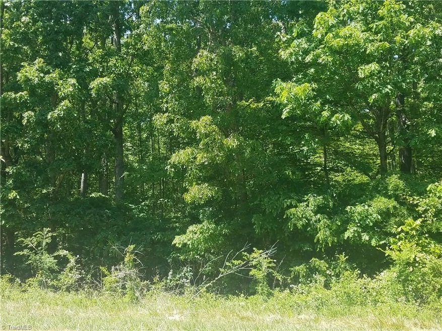 0 Stutts Rd, Asheboro, NC 27205 - photo 1