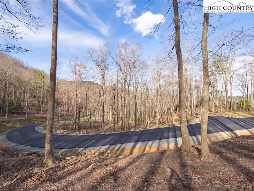 Lot 47 Wildcat Wilderness Pkwy, Deep Gap, NC 28618 - photo 1