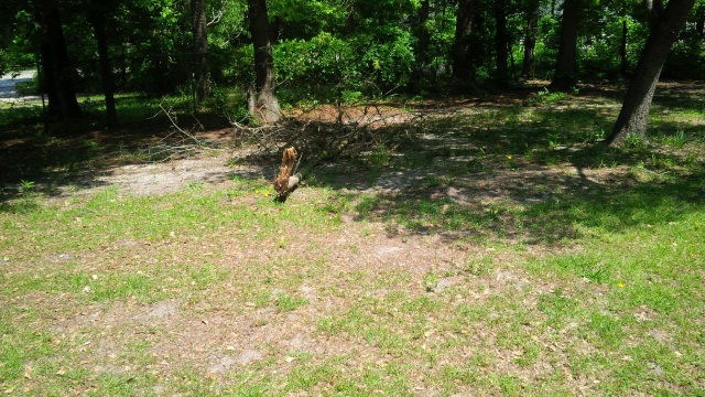 3478 Morgan St, Augusta, GA 30904 - photo 1