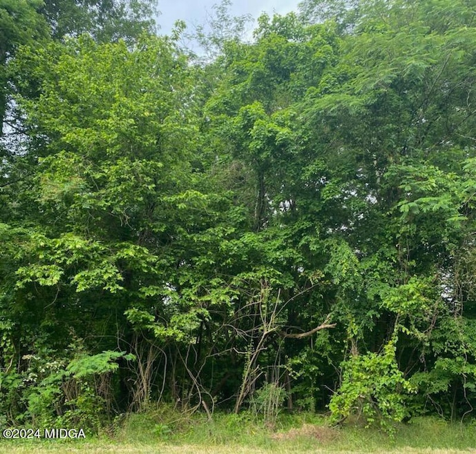 Forest Hill