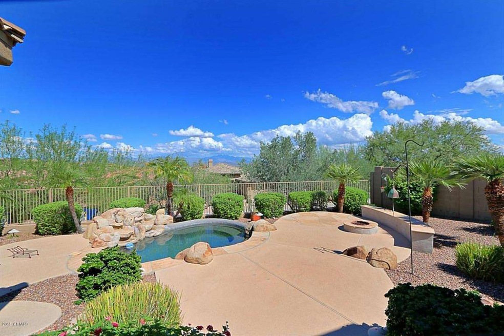 Backyard 1