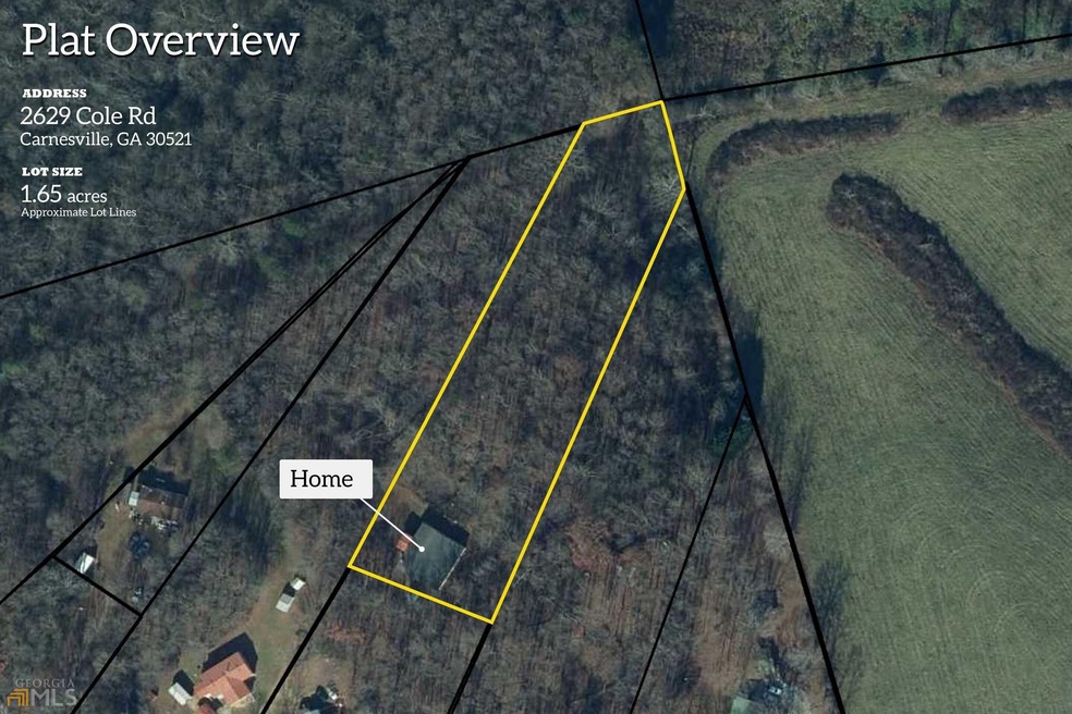 2629 Cole Rd, Carnesville, GA 30521 - photo 1