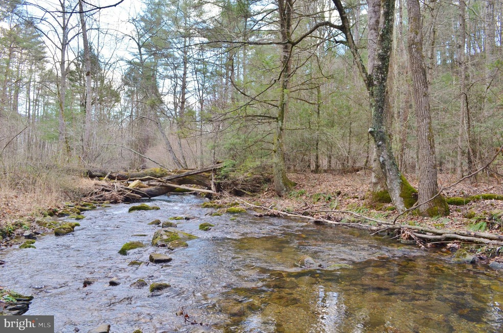 0 Dellinger Acres Rd, Edinburg, VA 22824 - photo 1