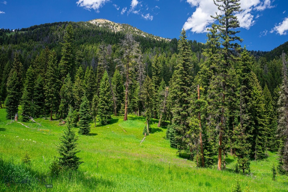 Tract 1A-1 Chief Joseph Trail, Big Sky, MT 59716 - photo 1