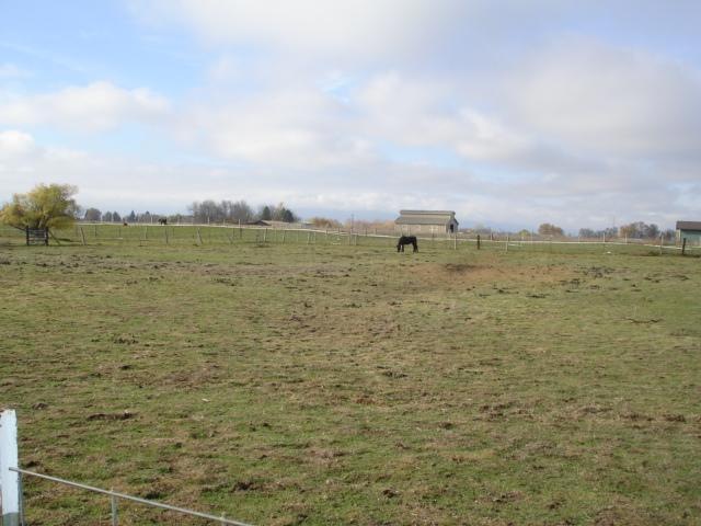 Primary Photo