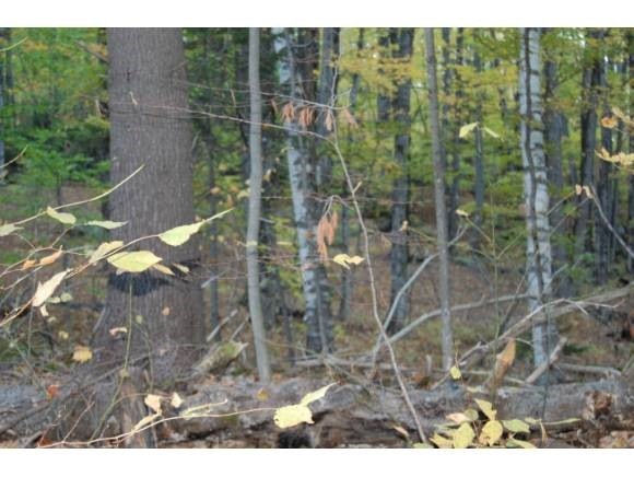 0 Smead Rd unit 4137834, Wardsboro, VT 05360 - photo 1