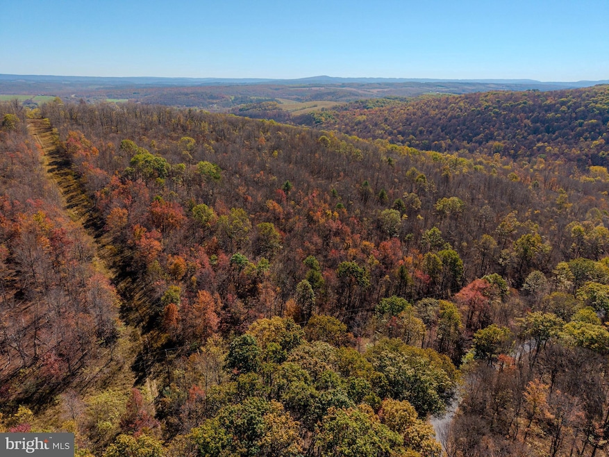 Off Thomas Rd, Alum Bank, PA 15521 - photo 1