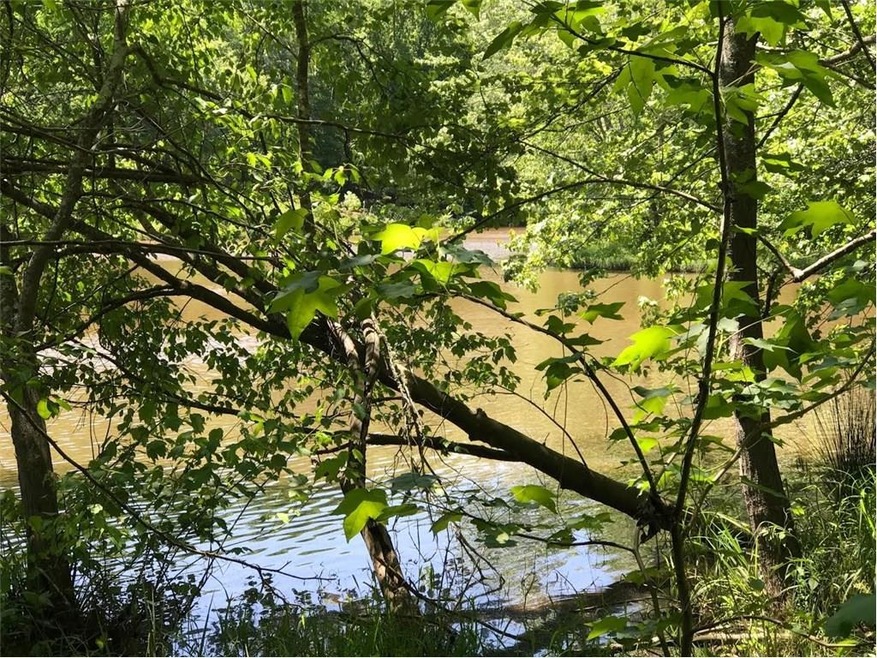 174 River Oak Ct, Temple, GA 30179 - photo 1