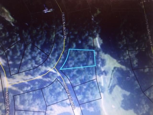 Lot 816 Hidden Lagoon Dr, Shellman Bluff, GA 31331 - photo 1