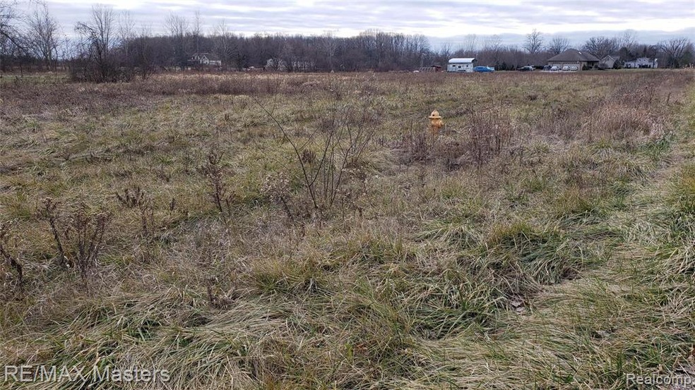 20201207_161147.jpg
