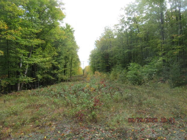 Road