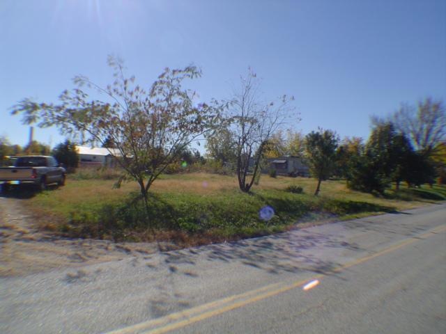 Primary Photo
