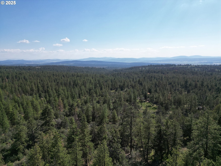 0 Sandpiper Dr unit 2300, Beatty, OR 97621 - photo 1