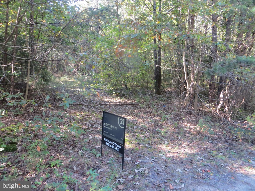 7309 Lakewood Ln, Spotsylvania Courthouse, VA 22551 - photo 1