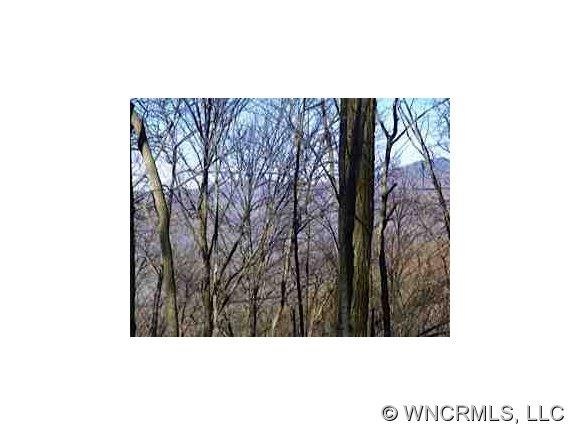 View from home site