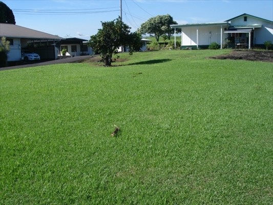 1600 Kinoole St, Hilo, HI 96720 - photo 1