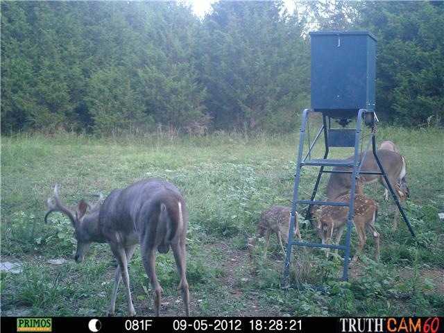 0 Cut-Off Rd unit RTC1608749, Pulaski, TN 38478 - photo 1