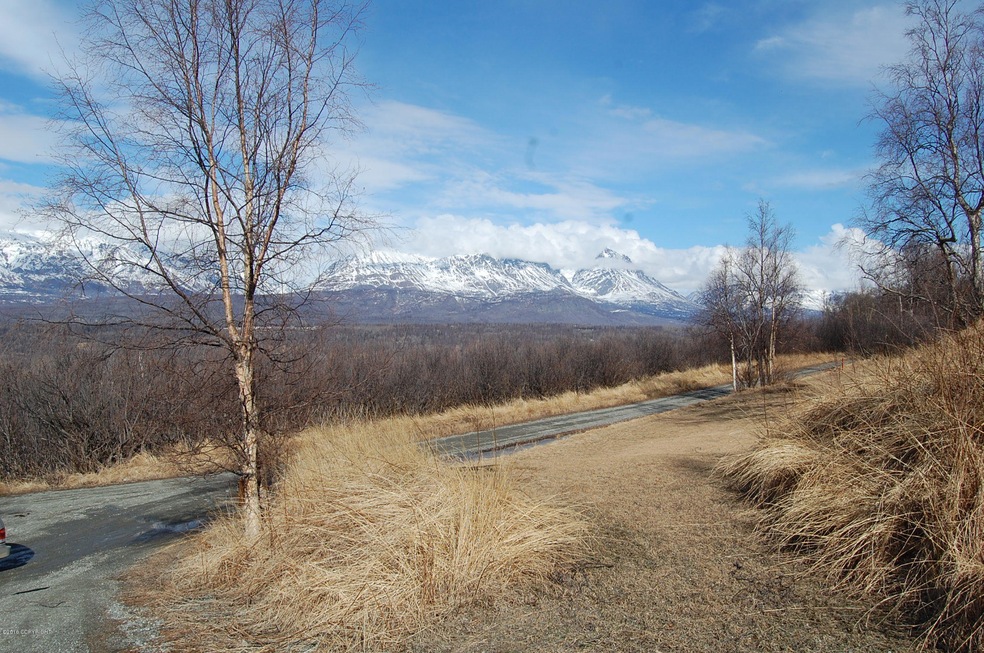Harding Dr and view