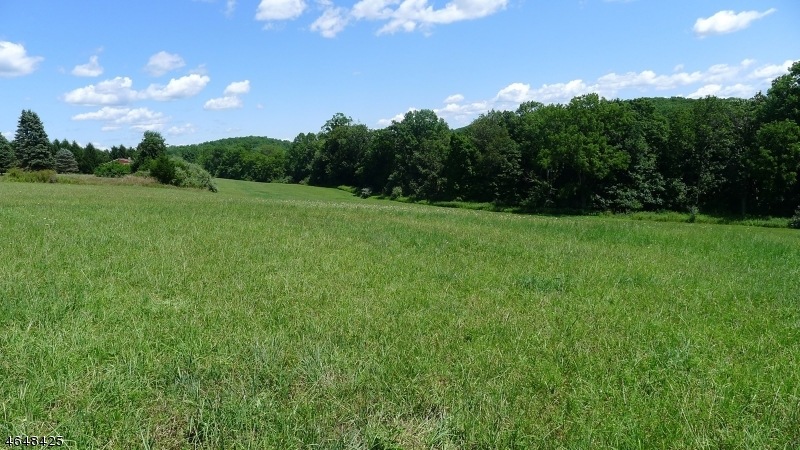 51 Primrose Rd, Hardwick, NJ 07825 - photo 1