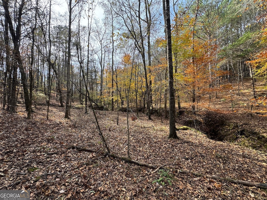 0 Old Middleton Rd unit 10651016, Elberton, GA 30635 - photo 1