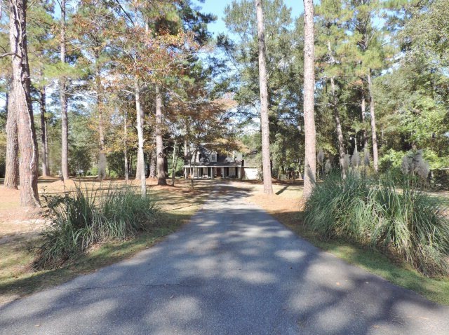 Main View