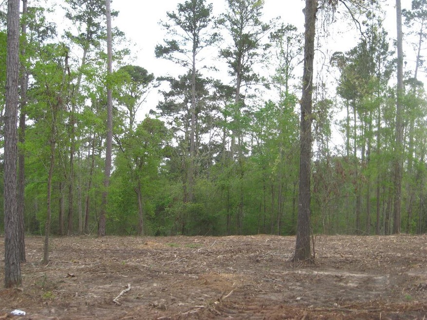 5.49 ac Farm To Market 225, Nacogdoches, TX 75964 - photo 1