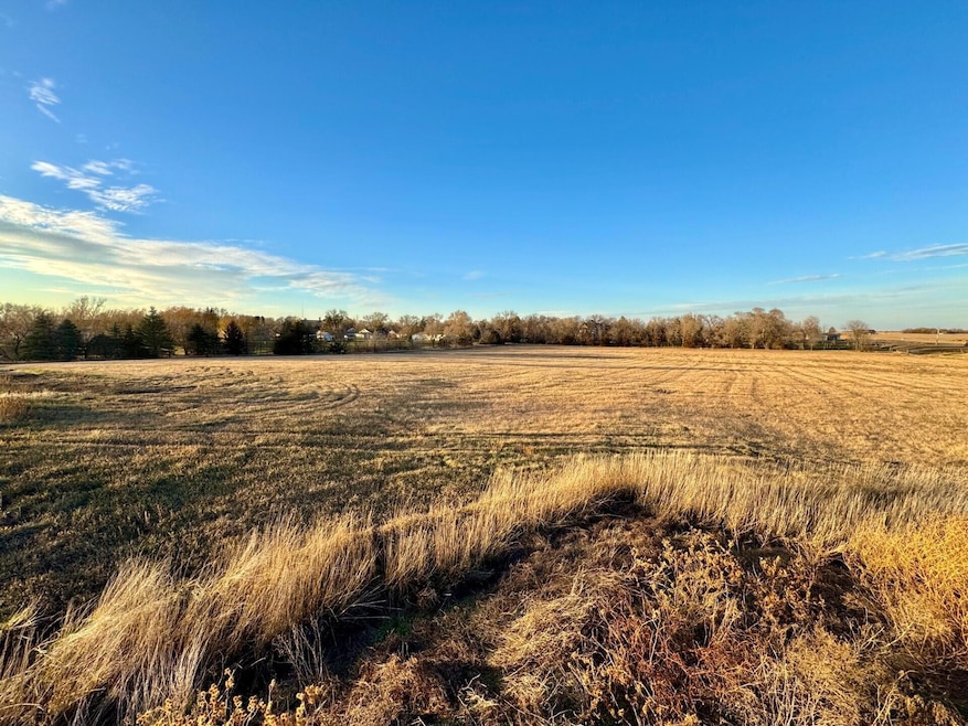 0 Lot 1 Vanderwerffs Addition, Armour, SD 57313 - photo 1
