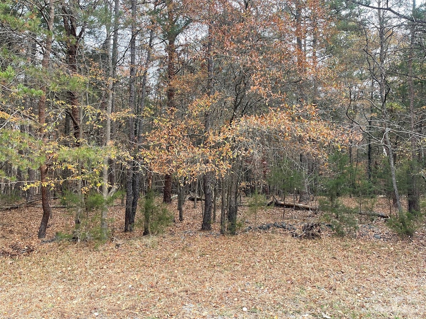 10505 Nugget Place, Midland, NC 28107 - photo 1