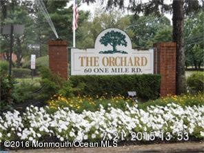 The Orchards