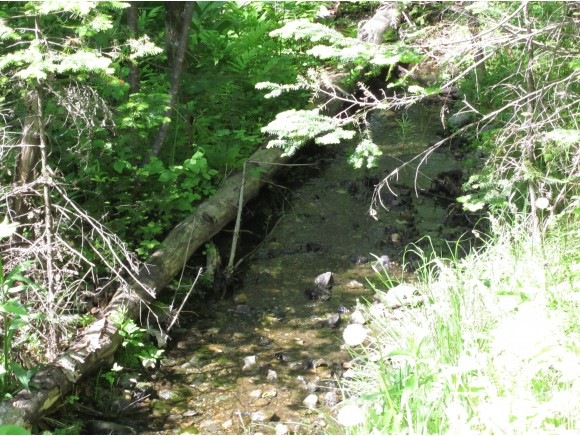 0 Walker Hill Rd unit 4725048, Lisbon, NH 03585 - photo 1