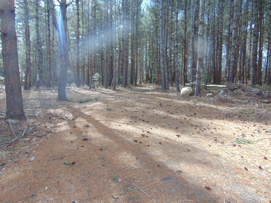 78 Lucy Little Rd, North Dartmouth, MA 02747 - photo 1